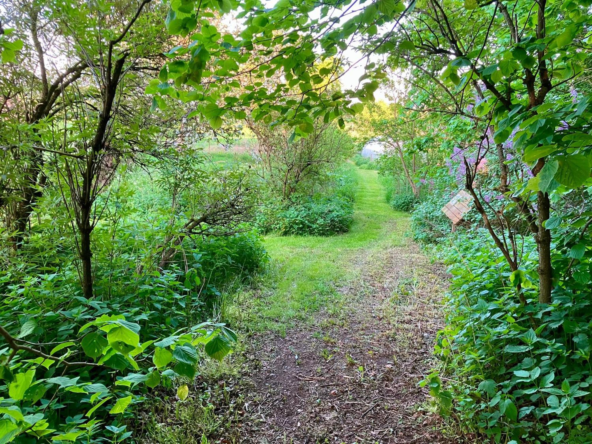 Lidhem Herrgard. Bed & Breakfast Och Mindre Laegenheter Vimmerby Exterior foto