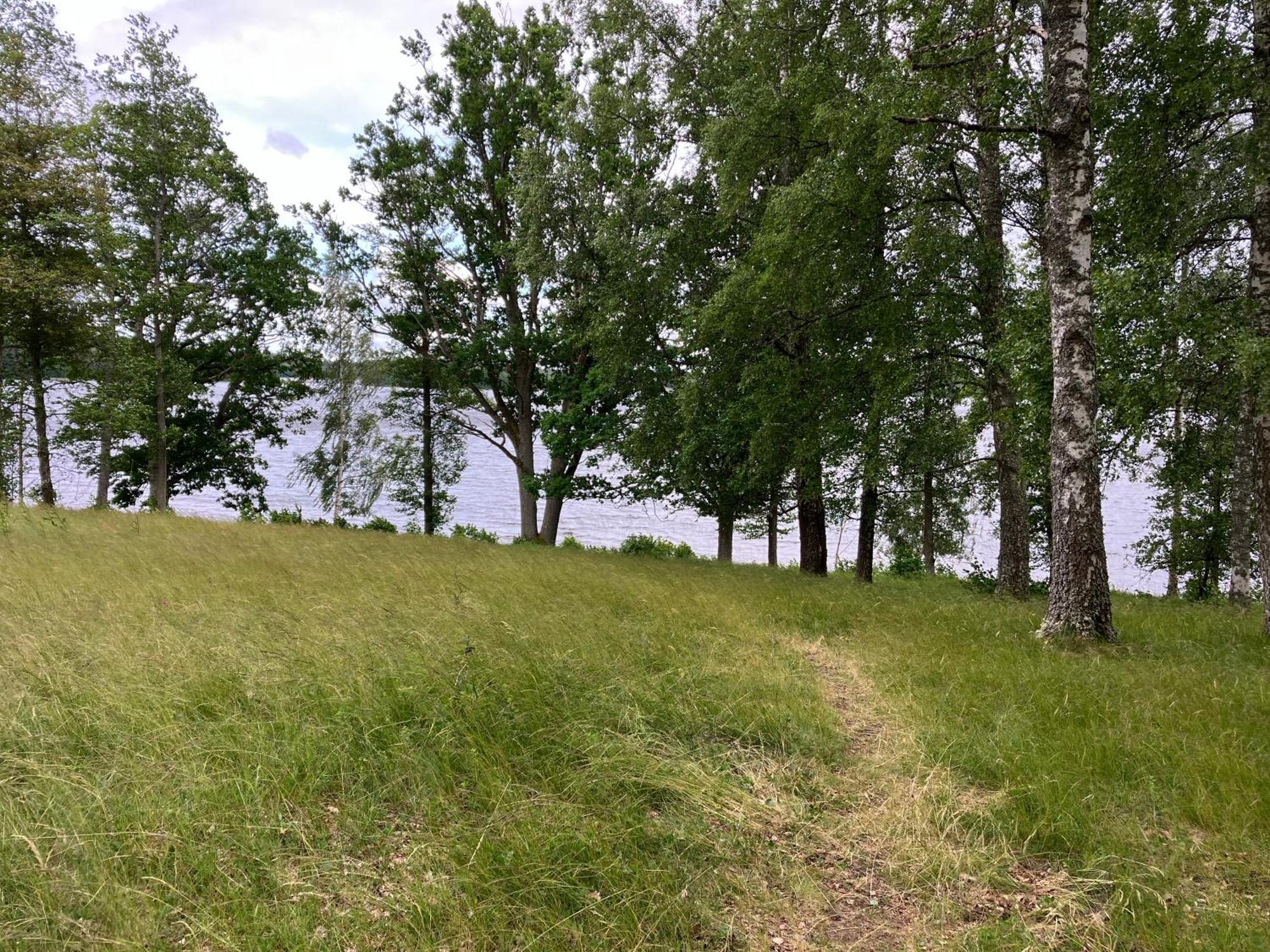 Lidhem Herrgard. Bed & Breakfast Och Mindre Laegenheter Vimmerby Exterior foto